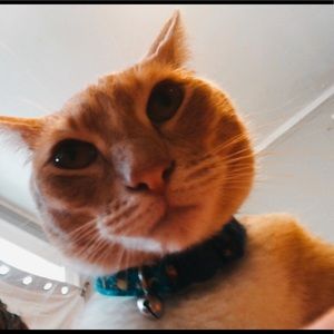 Meet your Posher, Mary